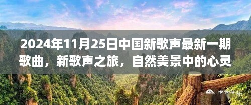 心靈和弦的共鳴，2024年11月25日中國(guó)新歌聲之旅的自然美景啟示