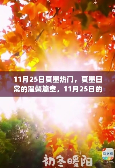 夏墨日常，11月25日的暖陽時光與溫馨篇章