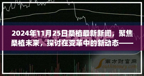 變革中的新動態(tài)，聚焦桑植未來——2024年11月25日桑植最新新聞視角