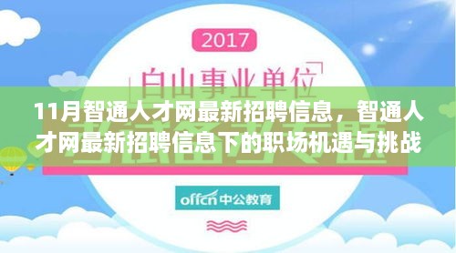 11月智通人才網最新招聘信息，職場機遇與挑戰(zhàn)一覽