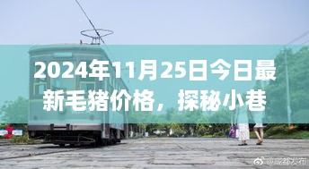 毛豬價(jià)格揭秘與小巷特色小店的幕后故事，2024年最新資訊，今日探秘之旅