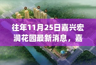 嘉興宏潤花園最新消息解讀，深度剖析三大要點回顧往年11月25日動態(tài)