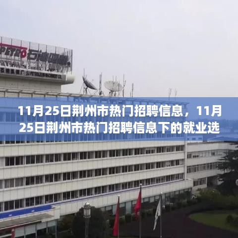 11月25日荊州市熱門招聘信息，11月25日荊州市熱門招聘信息下的就業(yè)選擇，機(jī)遇與挑戰(zhàn)并存