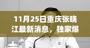 重慶張曉江最新動(dòng)態(tài)揭秘，11月25日獨(dú)家爆料，瞬間驚艷！