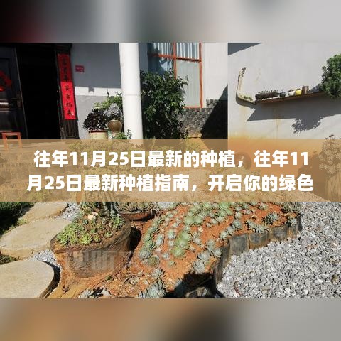 往年11月25日最新的種植，往年11月25日最新種植指南，開啟你的綠色生活之旅