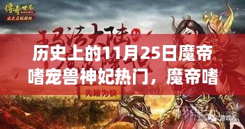 魔帝嗜寵獸神妃，深度測(cè)評(píng)與介紹——?dú)v史上的11月25日熱門話題