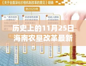 海南農(nóng)墾改革新篇章，歷史上的11月25日，變革中的自信與成就感