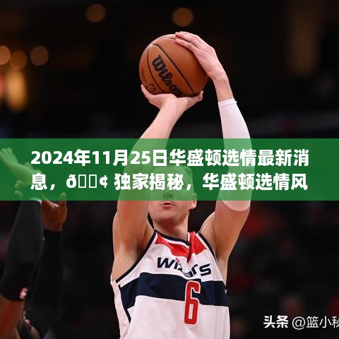 2024年11月25日華盛頓選情最新消息，?? 獨家揭秘，華盛頓選情風(fēng)云變幻，最新消息一網(wǎng)打盡！?? 2024年11月25日選情深度解析