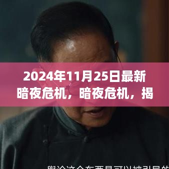 揭秘，2024年11月25日暗夜危機的背后故事與影響揭秘