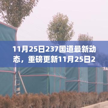 11月25日237國道最新動態(tài)全解析，路況、施工及出行指南