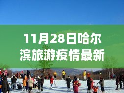 疫情下安全游哈爾濱，最新旅游指南與實用建議（初學(xué)者與進(jìn)階用戶適用）