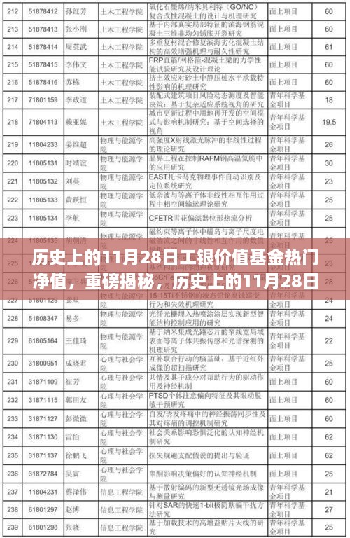 揭秘，歷史上的工銀價(jià)值基金凈值飆升背后的故事——聚焦11月28日熱門凈值日解密