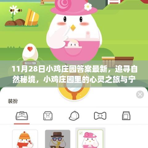 11月28日小雞莊園答案最新，追尋自然秘境，小雞莊園里的心靈之旅與寧靜的擁抱