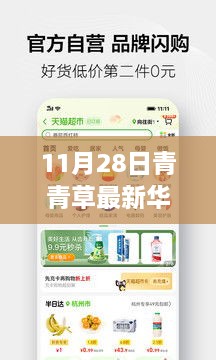 涉黃警告，11月28日青青草最新華人免費資源獲取指南及全攻略