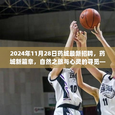 2024年11月28日藥城最新招聘，藥城新篇章，自然之旅與心靈的尋覓——2024年11月28日招聘之旅啟程啦！