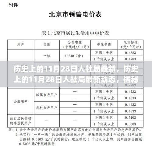 揭秘歷史上的11月28日人社局最新動態(tài)，改變未來的重要時(shí)刻回顧