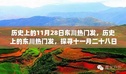 歷史上的11月28日東川熱門發(fā)，歷史上的東川熱門發(fā)，探尋十一月二十八日的輝煌印記