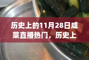 歷史上的11月28日咸菜直播熱門，歷史上的11月28日，見證咸菜直播熱門高科技產(chǎn)品的誕生與革新