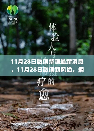 微信整頓新動態(tài)，啟程心靈之旅，擁抱自然新風(fēng)尚