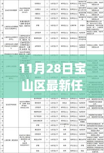 11月28日寶山區(qū)干部任免更新，流程詳解與操作指南