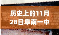 阜南一中歷史時刻下的勵志篇章，最新事件回顧與校園之光