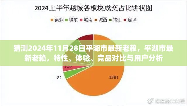 平湖市最新失信人員解析，特性、體驗(yàn)、競品對比與用戶洞察（預(yù)測至2024年11月）