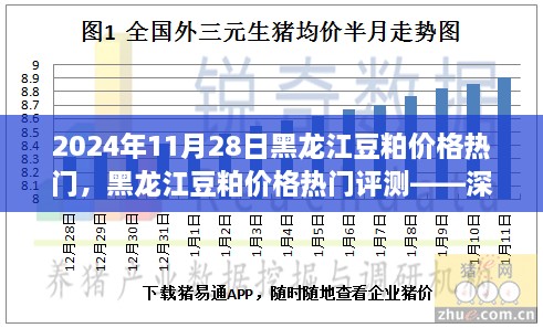 黑龍江豆粕價格熱門解析，深度剖析豆粕特性、用戶體驗與目標(biāo)用戶群體分析報告