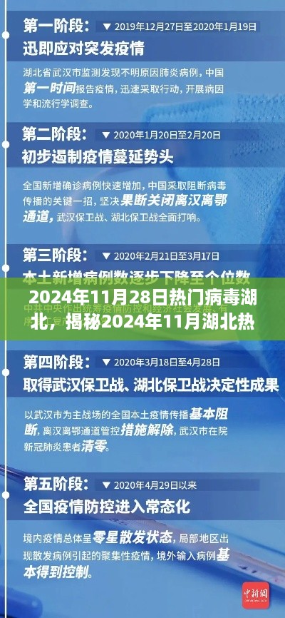 揭秘湖北熱門病毒現(xiàn)象，傳播特點、防控措施與公眾關(guān)注焦點（2024年11月報告）