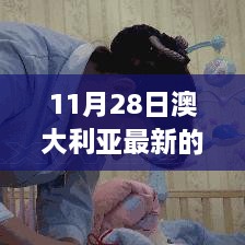 11月28日澳大利亞最新的政策，澳大利亞新政策啟航日，變化中的學(xué)習(xí)，自信與成就感的源泉