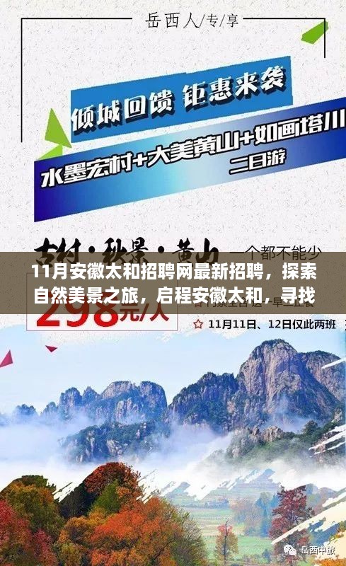 安徽太和最新招聘啟幕，探索自然美景之旅，啟程尋找內(nèi)心寧?kù)o與和諧