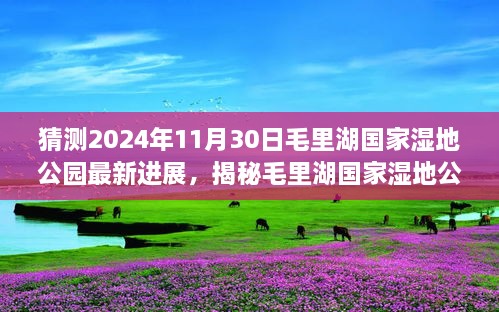 猜測2024年11月30日毛里湖國家濕地公園最新進展，揭秘毛里湖國家濕地公園，2024年最新進展展望