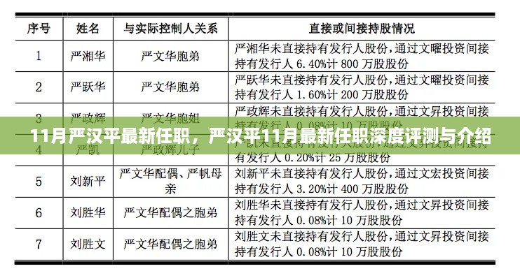 嚴(yán)漢平最新任職深度解析與介紹，揭秘其11月新職務(wù)的機(jī)遇與挑戰(zhàn)