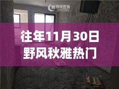 往年11月30日野風秋雅熱門房價，野風秋雅深處的寶藏，揭秘隱藏在小巷中的特色小店與往年熱門房價盛景