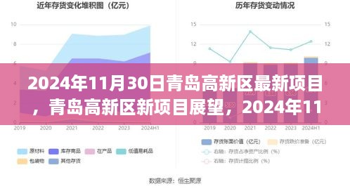 青島高新區(qū)新項目展望，機遇與挑戰(zhàn)并存，聚焦未來創(chuàng)新機遇（2024年11月30日）