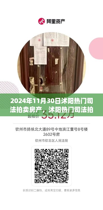 2024年11月30日沭陽熱門司法拍賣房產(chǎn)搶拍指南，最新房源大揭秘