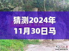 揭秘未來，馬山縣石豐村2024年11月30日最新動(dòng)態(tài)展望指南