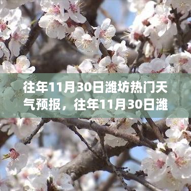 濰坊往年11月30日天氣預(yù)報回顧與旅行建議，氣象分析與建議