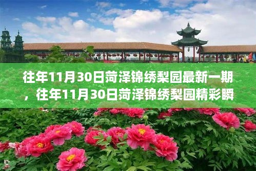 菏澤錦繡梨園，傳統(tǒng)戲曲魅力之旅的精彩瞬間探索