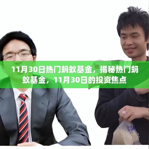 揭秘?zé)衢T螞蟻基金，11月30日的投資焦點分析