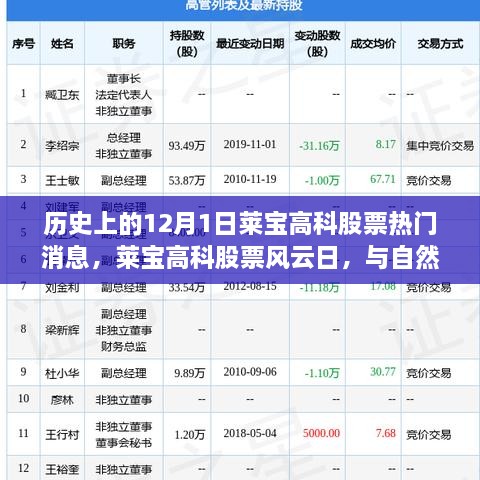 歷史上的12月1日萊寶高科股票熱門消息，萊寶高科股票風(fēng)云日，與自然美景的奇妙邂逅，心靈旅行的啟程時(shí)刻