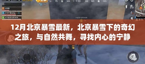 北京暴雪下的奇幻之旅，與自然共舞，探尋內(nèi)心寧?kù)o的旅程