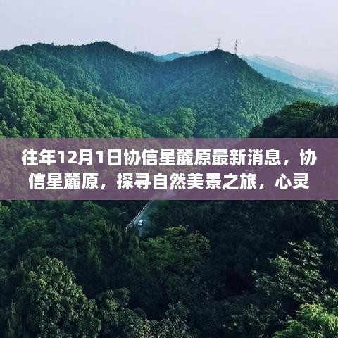 協(xié)信星麓原最新消息，探尋自然美景之旅的心靈港灣