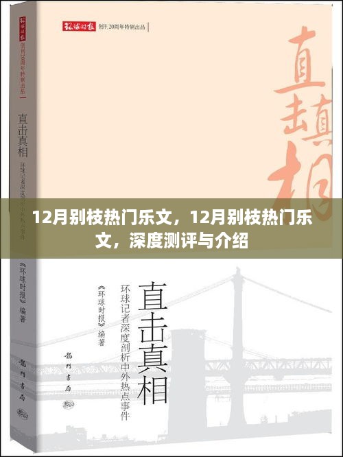 深度測評與介紹，12月別枝熱門樂文