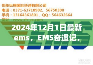 EMS奇遇記，快遞背后的溫暖故事揭秘，2024年12月最新篇章