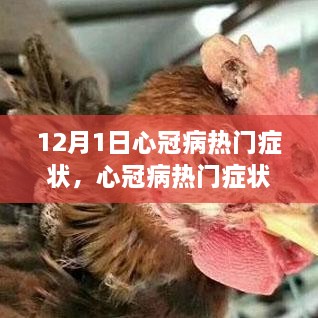 心冠病熱門癥狀深度解析，背景、事件與影響（最新更新）