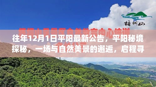 平陽(yáng)秘境探秘之旅，與自然美景的邂逅，尋找寧?kù)o之地啟程