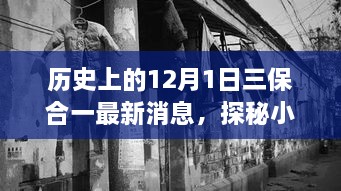 歷史上的12月1日三保合一揭秘，最新消息與小巷深處的獨(dú)特風(fēng)味