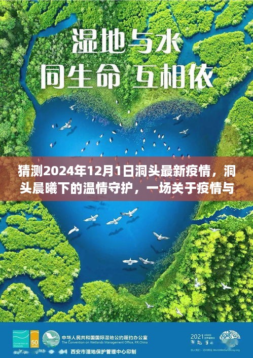 洞頭晨曦下的溫情守護，疫情與友情的日常故事預(yù)測至2024年12月1日