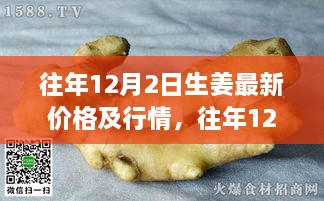 深度解析，往年12月2日生姜市場(chǎng)行情及最新價(jià)格概覽