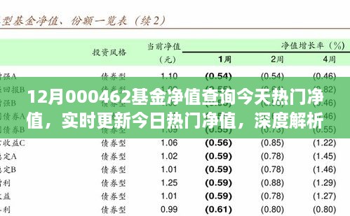 12月000462基金凈值查詢今天熱門凈值，實(shí)時(shí)更新今日熱門凈值，深度解析12月000462基金凈值查詢